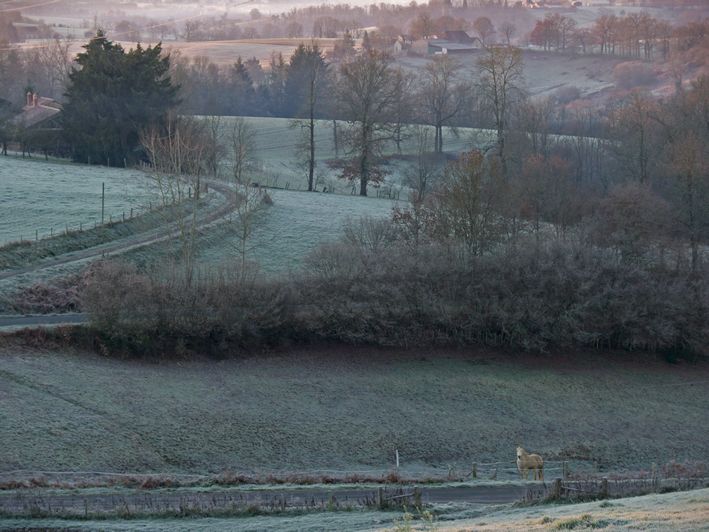 photo "green daybreak" tags: landscape, sunset, winter