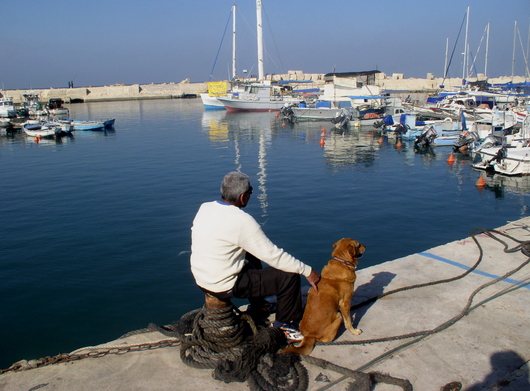 photo "Jaffa Port" tags: landscape, water