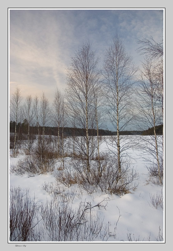 фото "***" метки: пейзаж, зима