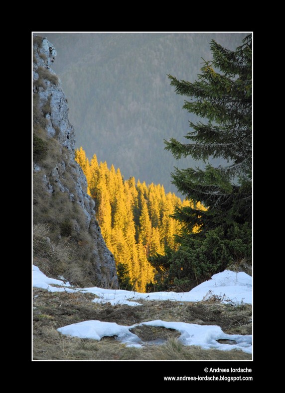 photo "Winter in Romania" tags: landscape, mountains