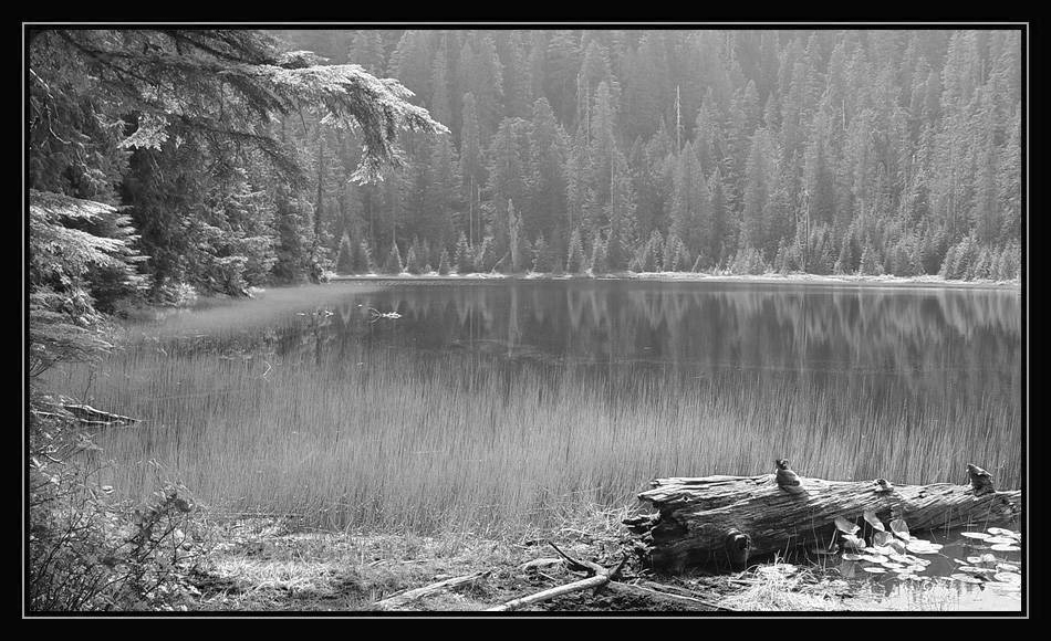 photo "Pleasure of the B&W" tags: landscape, black&white, water