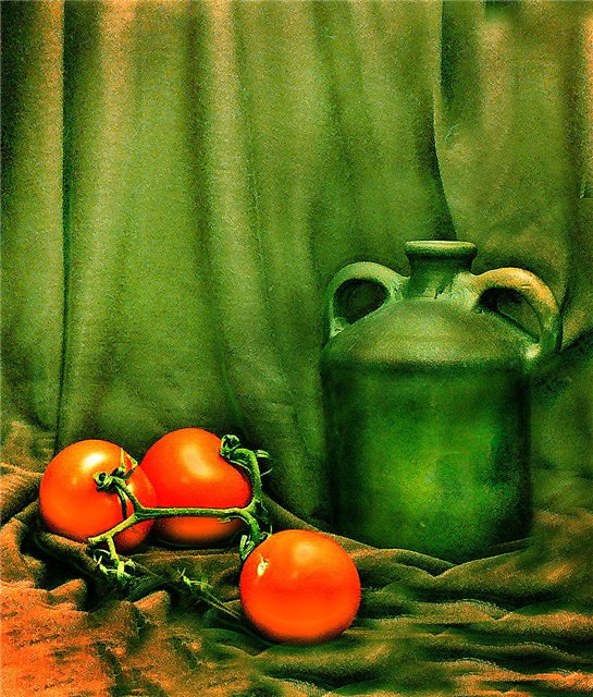 photo "***" tags: still life, 