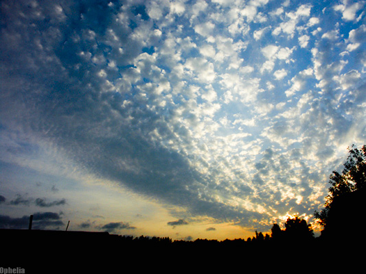 фото "SUNSET" метки: пейзаж, закат, облака