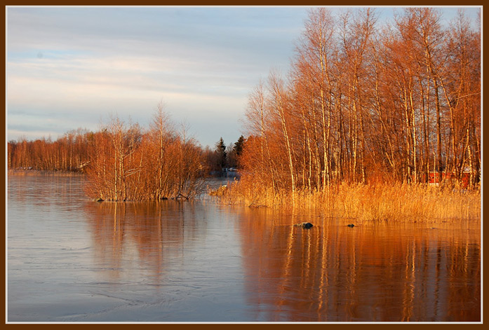 photo "Winter sun" tags: landscape, water, winter