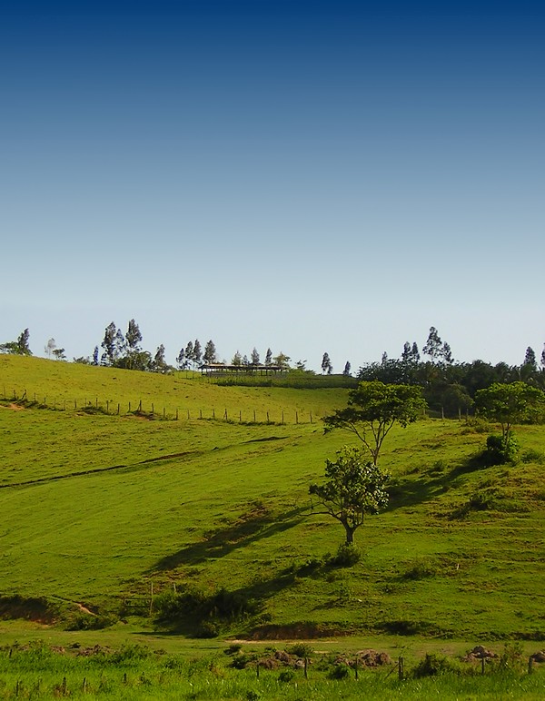 photo "Fields of green II" tags: landscape, mountains