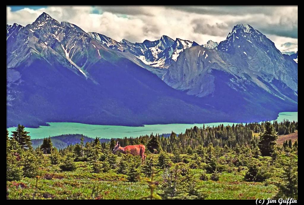 photo "A cloudy day hiking at Lake Maligne" tags: landscape, mountains, water