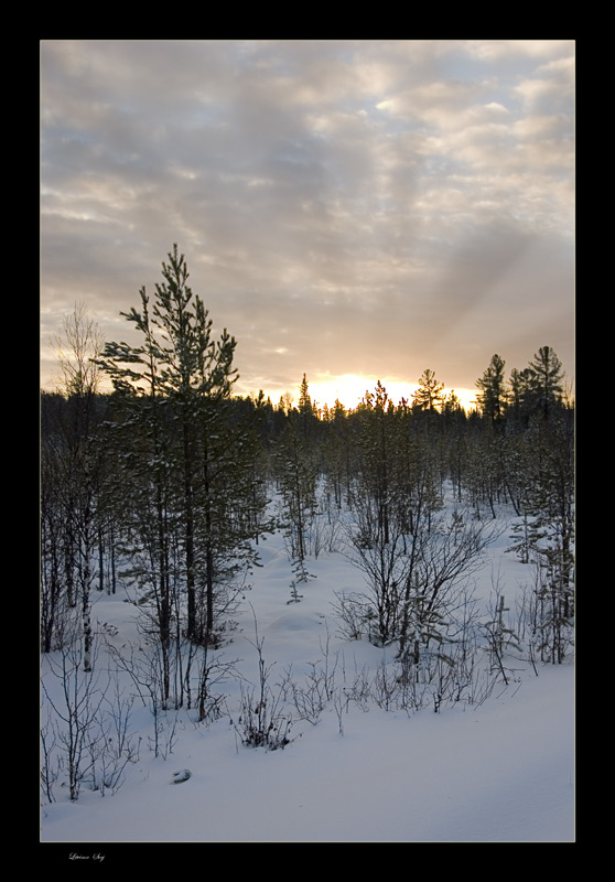 photo "***" tags: landscape, winter