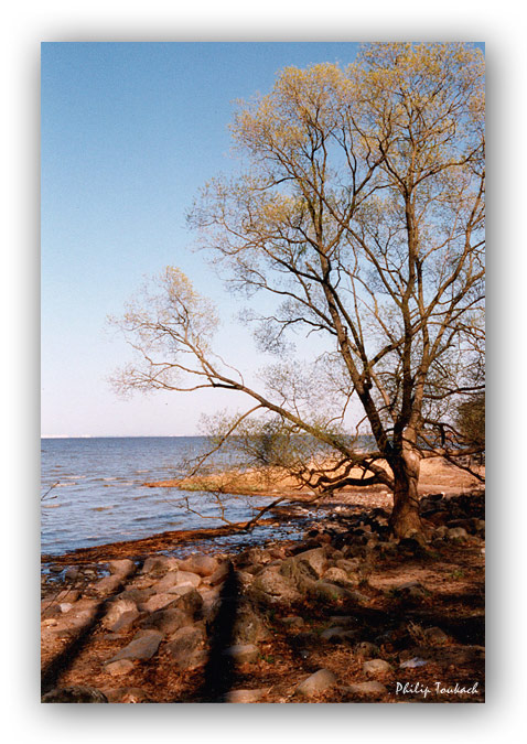 photo "The coastline" tags: landscape, spring, water