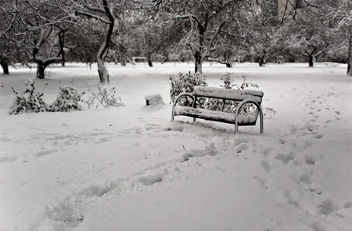 photo "the-differing-ways" tags: landscape, winter