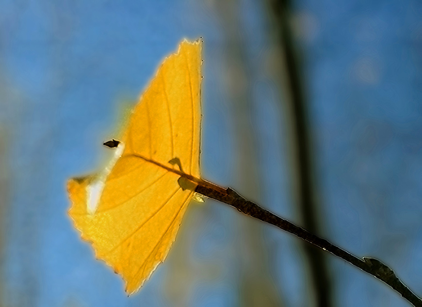 photo "***" tags: landscape, autumn