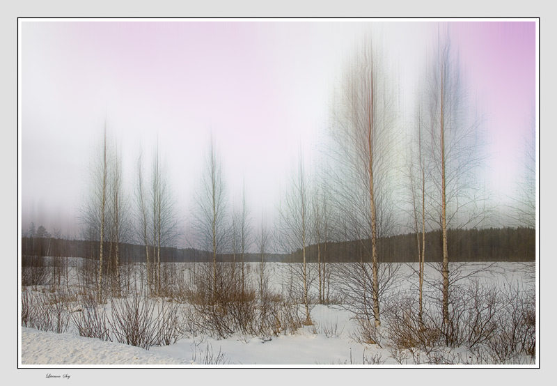 фото "Winter paints..." метки: пейзаж, зима
