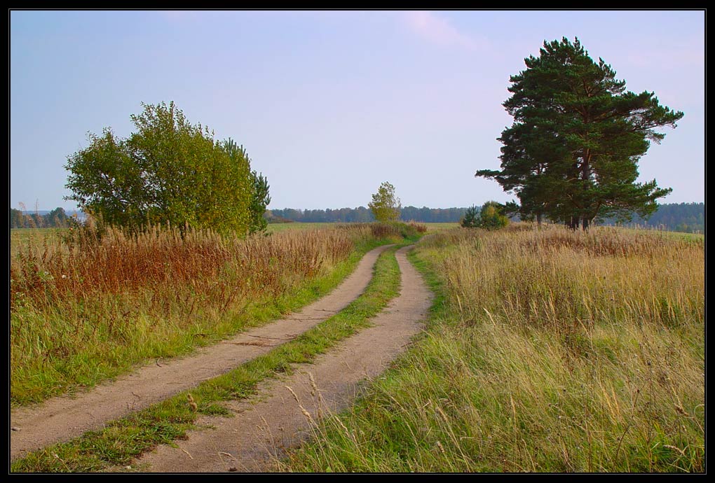 photo "То return and to look once again" tags: landscape, autumn, forest