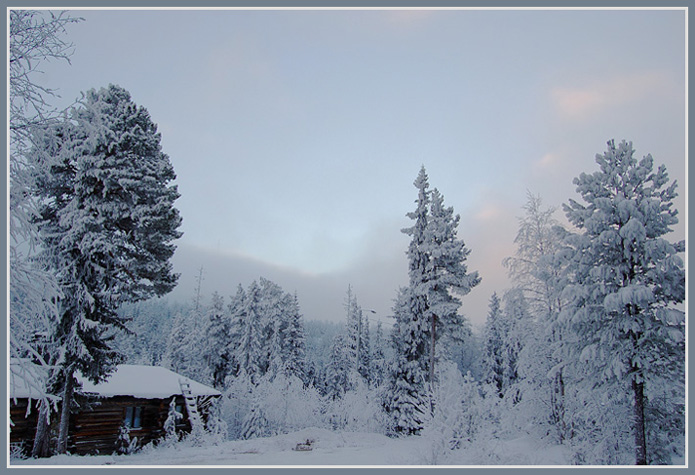 photo "Merry Christmas from Lapland" tags: landscape, forest, winter