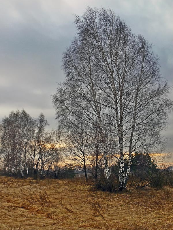 photo "***" tags: landscape, autumn