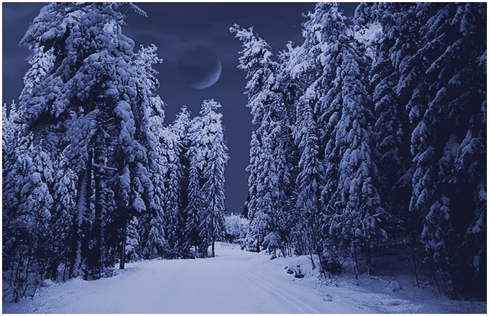 photo "In the dark-blue forest" tags: landscape, forest, winter