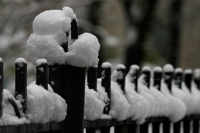 photo "First snow3" tags: fragment, 