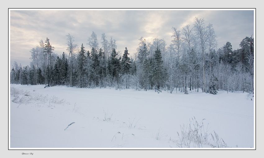 photo "***" tags: landscape, winter