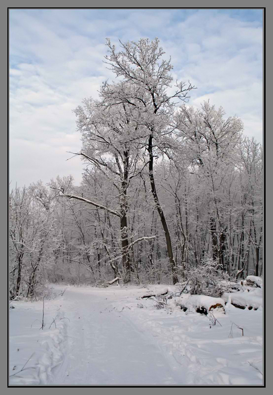 photo "***" tags: landscape, winter