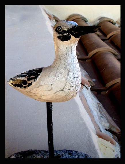 photo "Bon Nadal" tags: humor, 