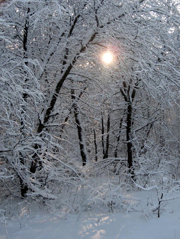 photo "Beauty Winter" tags: landscape, nature, winter
