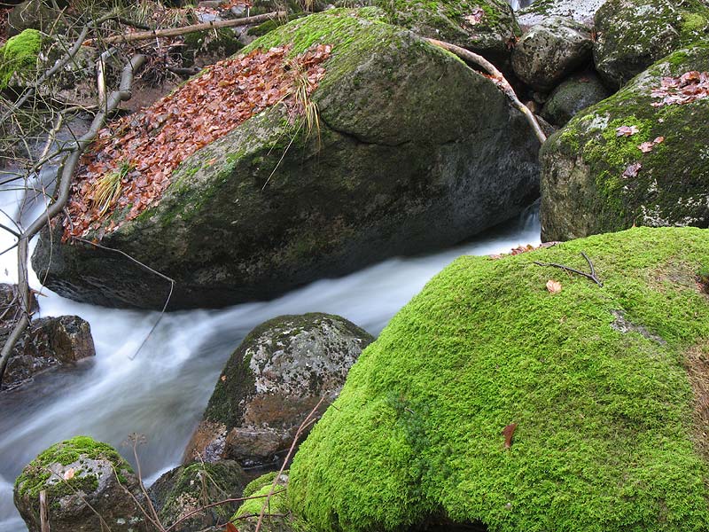 photo "Bode" tags: landscape, travel, Europe, water