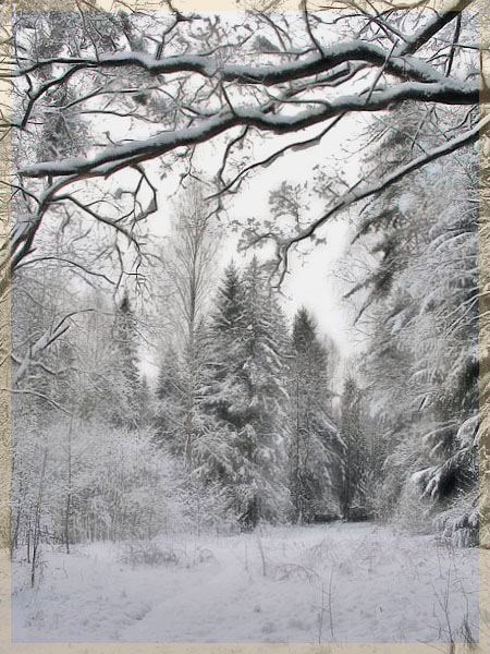 photo "***" tags: landscape, winter