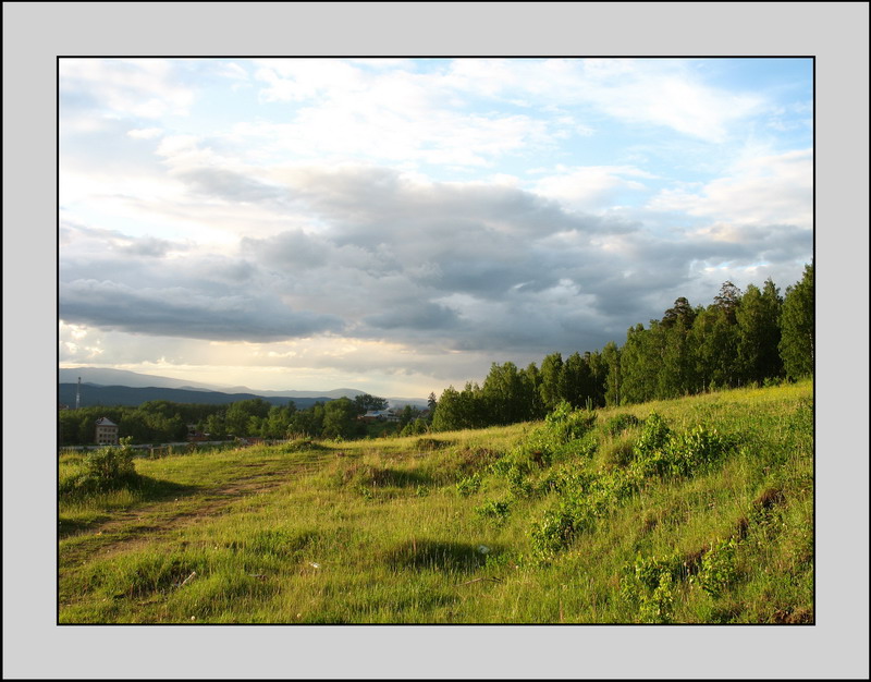 photo "Wood under the sky" tags: landscape, nature, forest