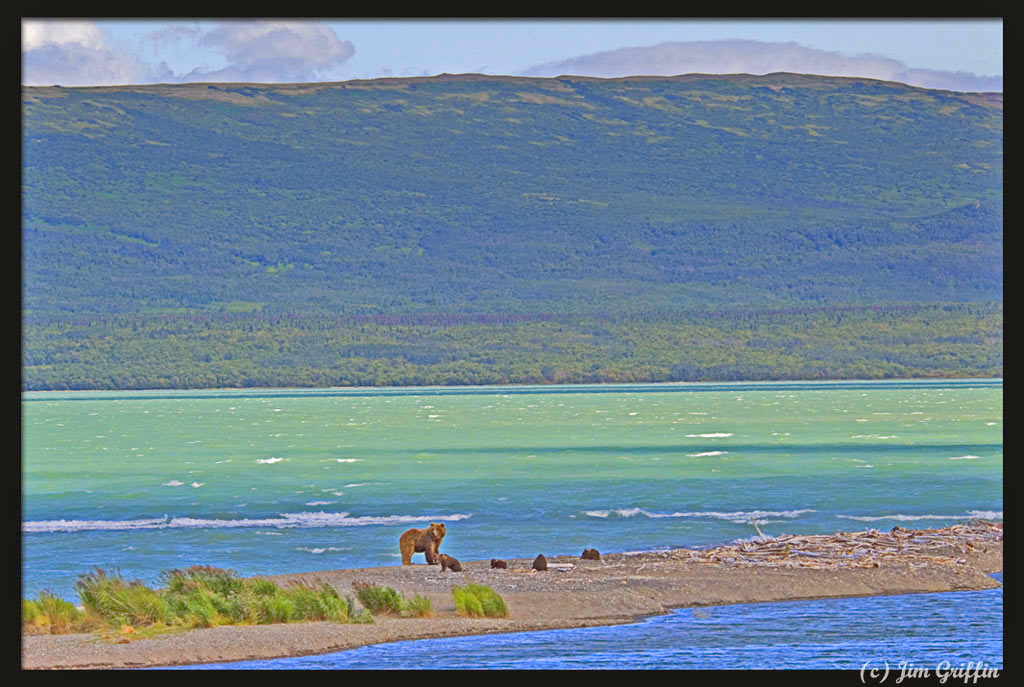 photo "Mom looks over the vast wilderness" tags: landscape, nature, mountains, wild animals