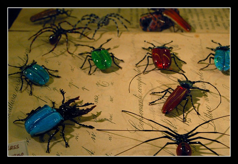 photo "Bugs..." tags: macro and close-up, still life, 