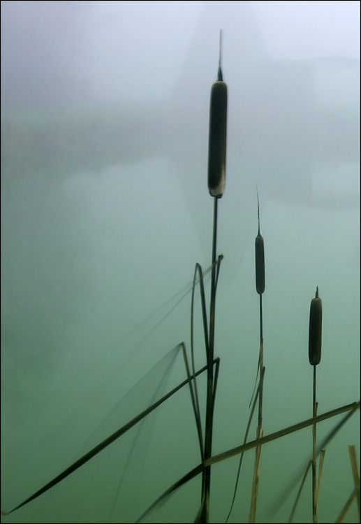 photo "***" tags: landscape, autumn, water