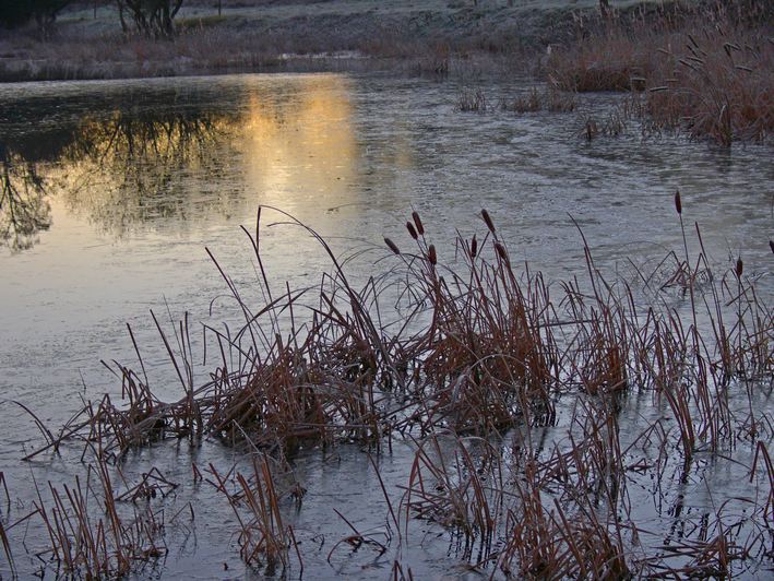 фото "Frozen morning" метки: пейзаж, вода, зима