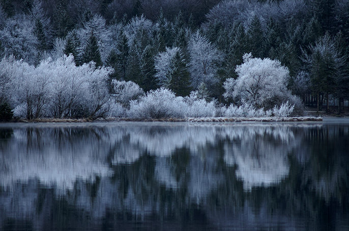 photo "Winter?" tags: landscape, winter