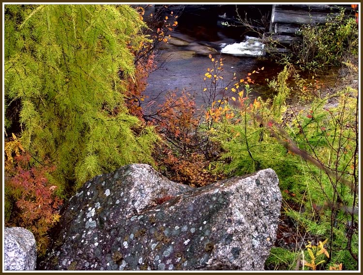 photo "The stone" tags: landscape, forest