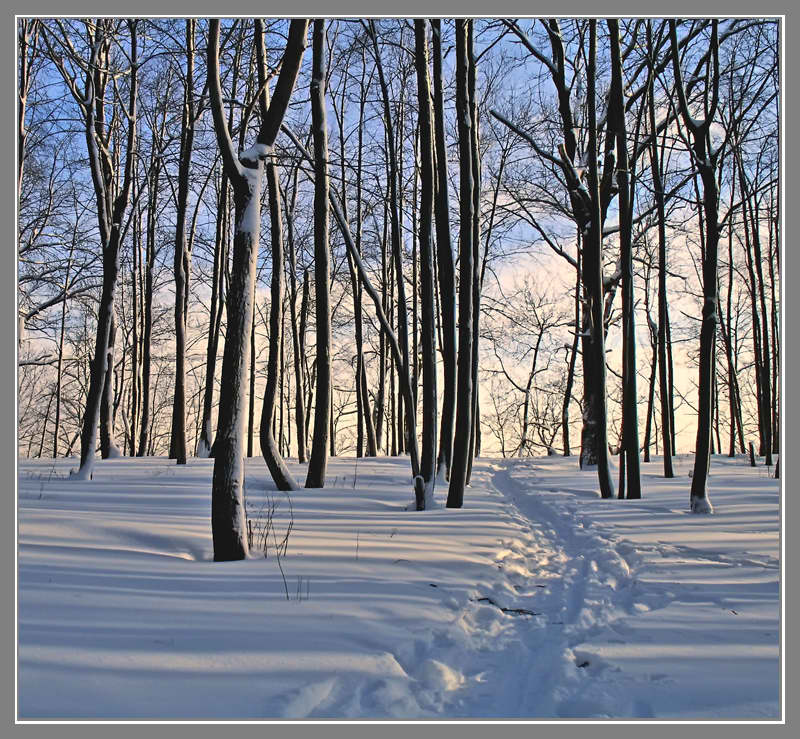 фото "Погожий денек..." метки: пейзаж, зима