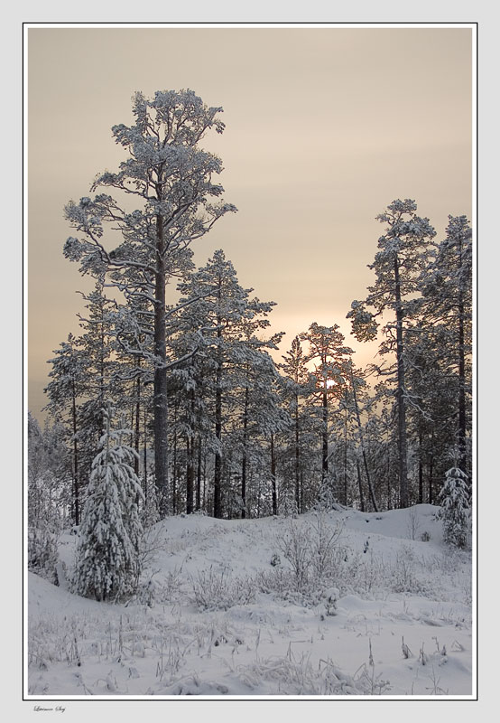 photo "***" tags: landscape, winter