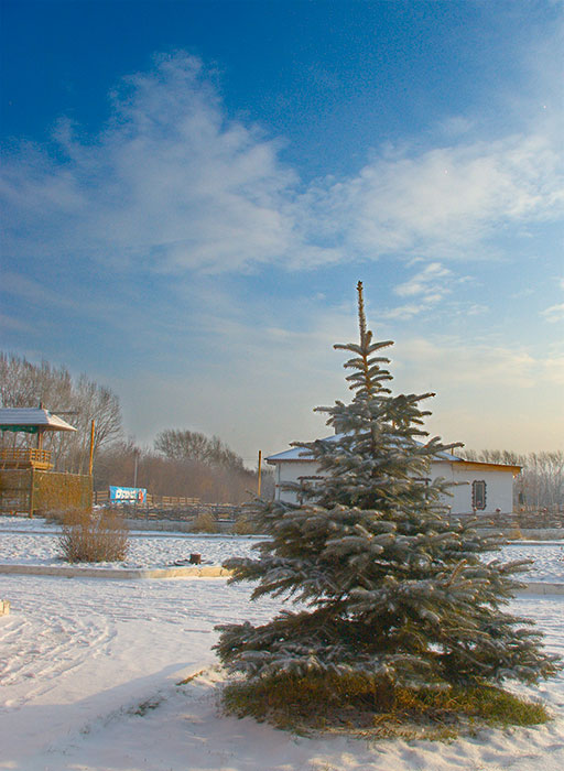 photo "***" tags: landscape, winter