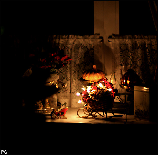photo "In New year" tags: genre, 