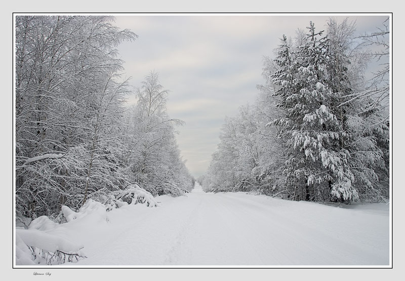 фото "Road to New year..." метки: пейзаж, зима