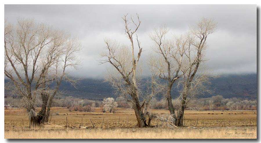 фото "Waiting on spring !" метки: пейзаж, путешествия, Северная Америка, зима