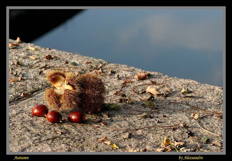 фото "autumn" метки: пейзаж, вода