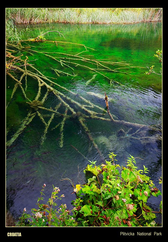 фото "Plitvicka National Park" метки: пейзаж, путешествия, Европа, вода