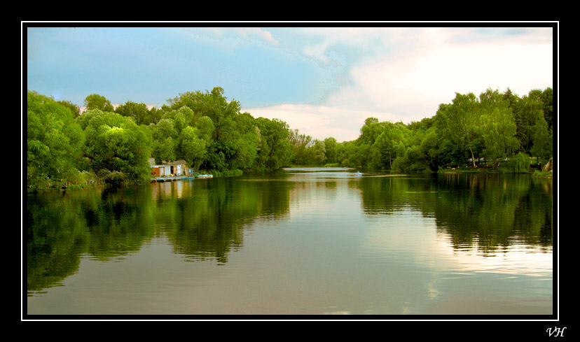 photo "Mirror of nature" tags: landscape, forest, water