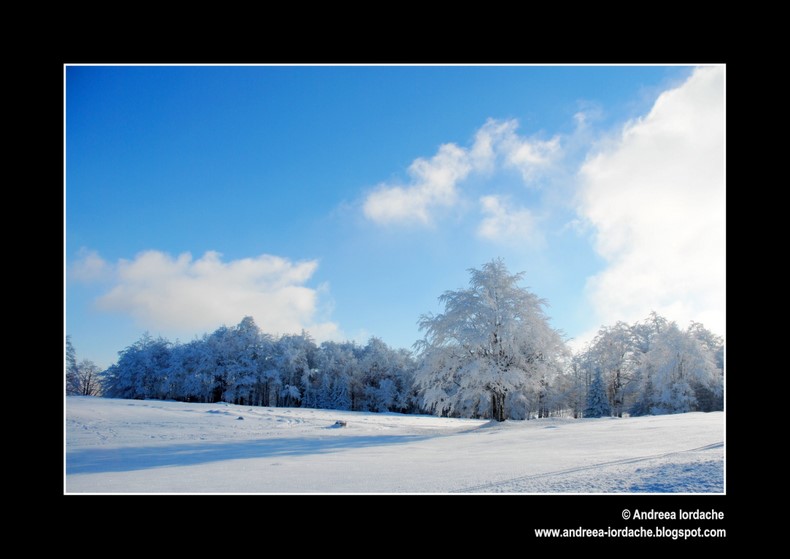 фото "Winter silence" метки: пейзаж, 