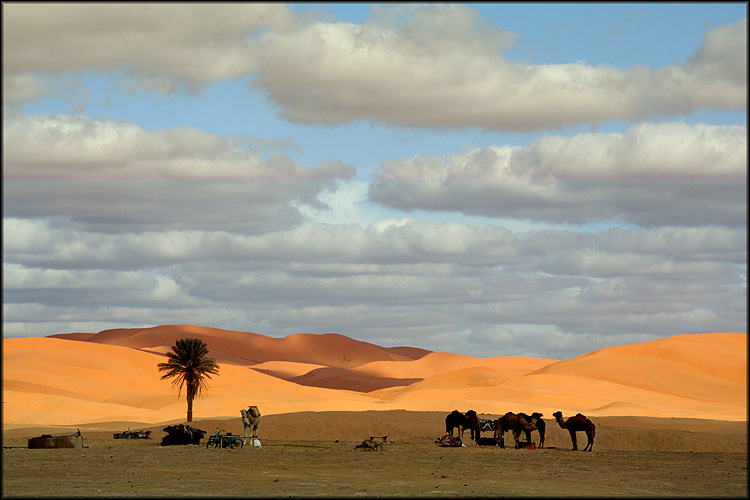 photo "Waiting" tags: travel, landscape, Africa