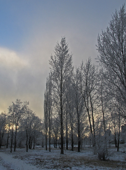 фото "Утро" метки: , 