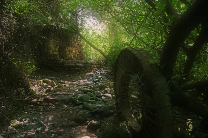 photo "Abandoned milll in the forest" tags: landscape, forest, summer