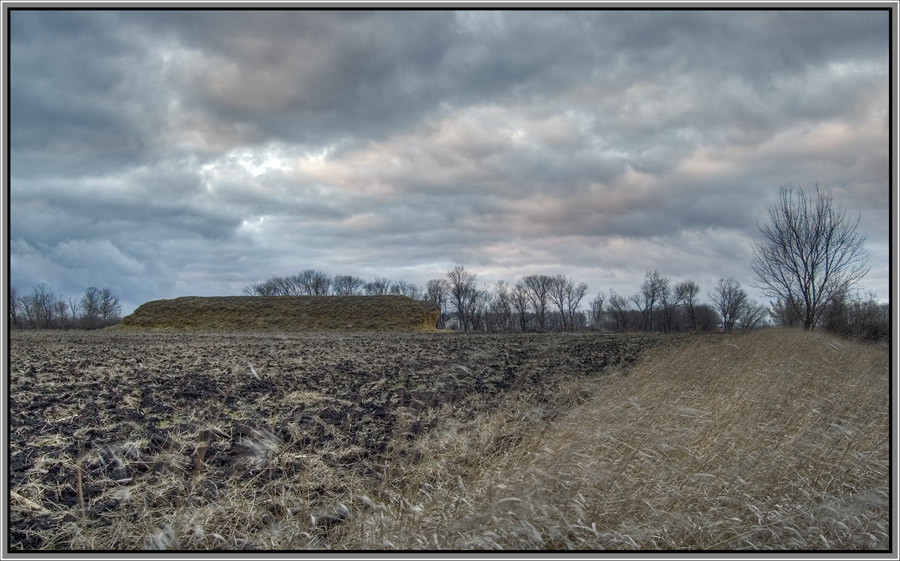 photo "Across the field" tags: landscape, winter