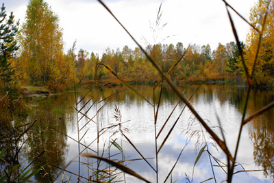 photo "***" tags: landscape, autumn