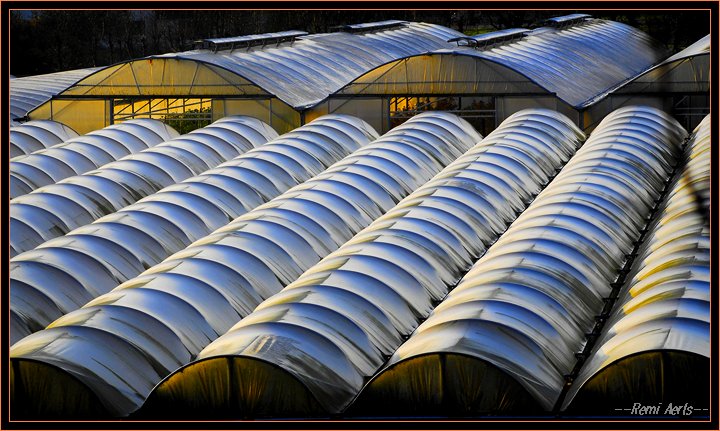 photo "rythmic roofs" tags: architecture, landscape, 