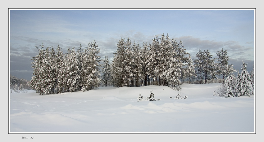 photo "***" tags: landscape, winter